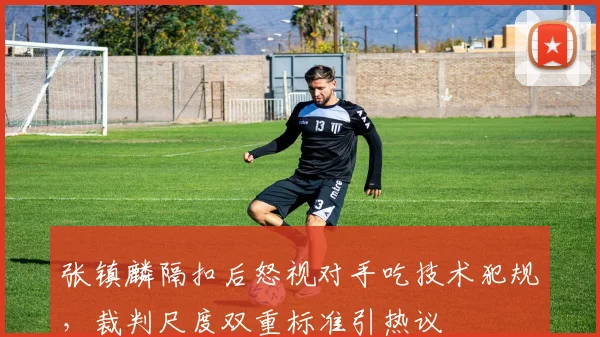 张镇麟隔扣后怒视对手吃技术犯规，裁判尺度双重标准引热议