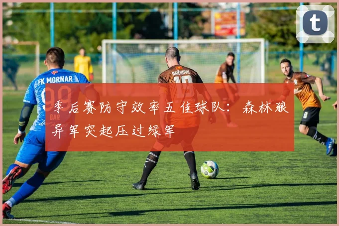 季后赛防守效率五佳球队：森林狼异军突起压过绿军